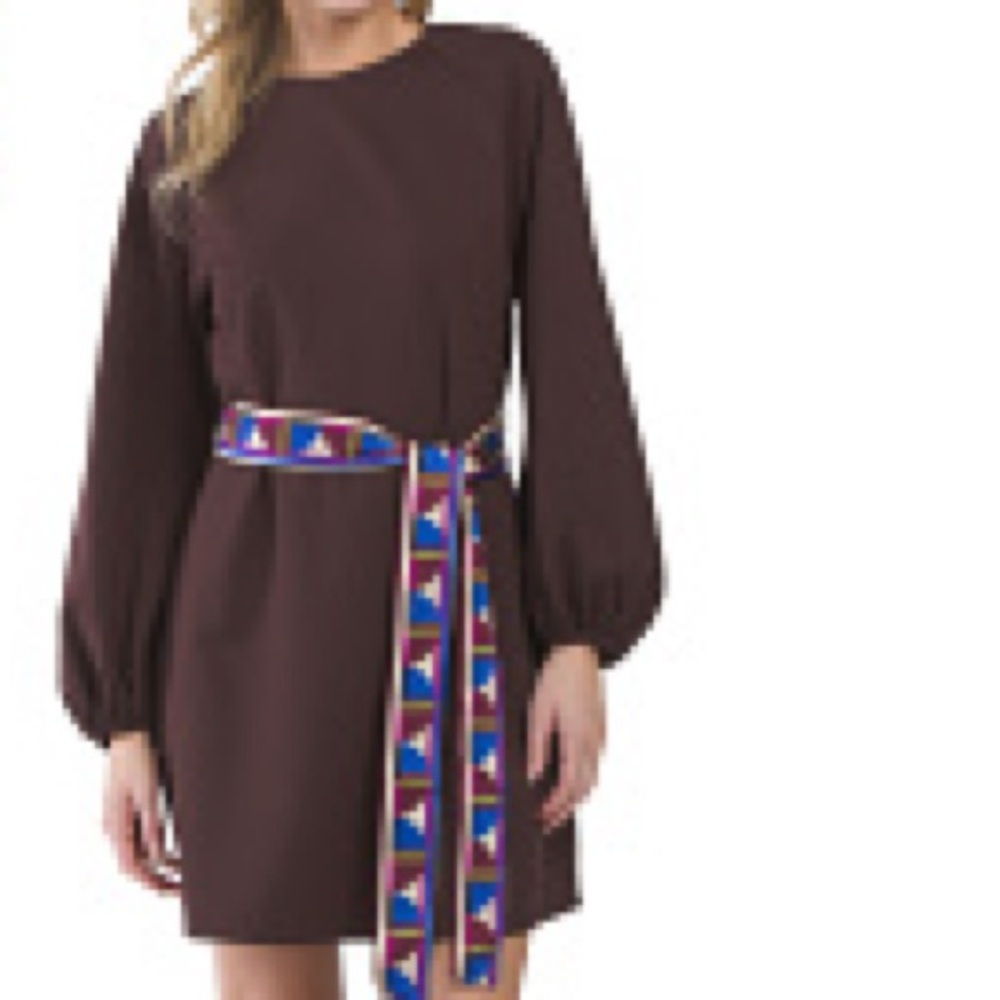 Cartolina Women’s Brown Mini Dress Long Sleeve with Fashion Belt Size Large
